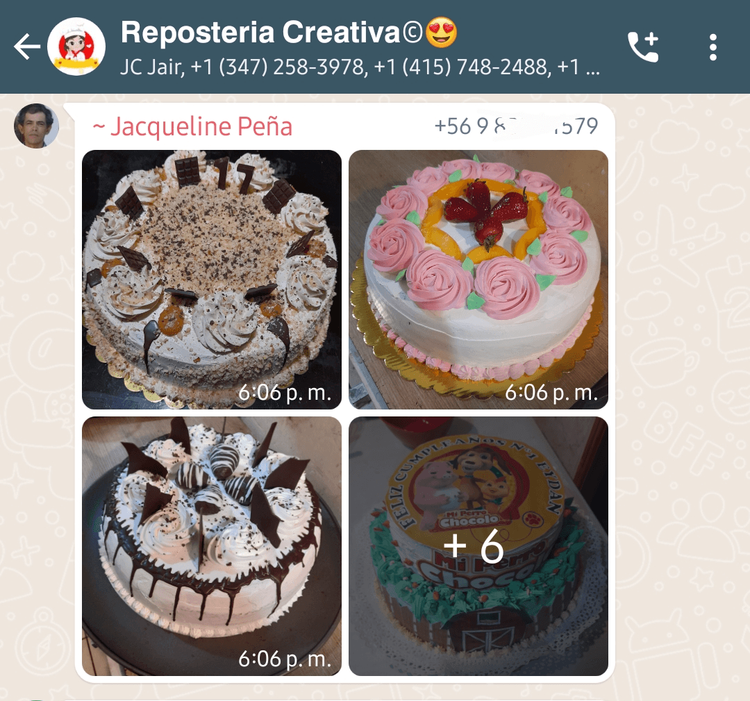 Screenshot_20230506_211319_WhatsAppBusiness